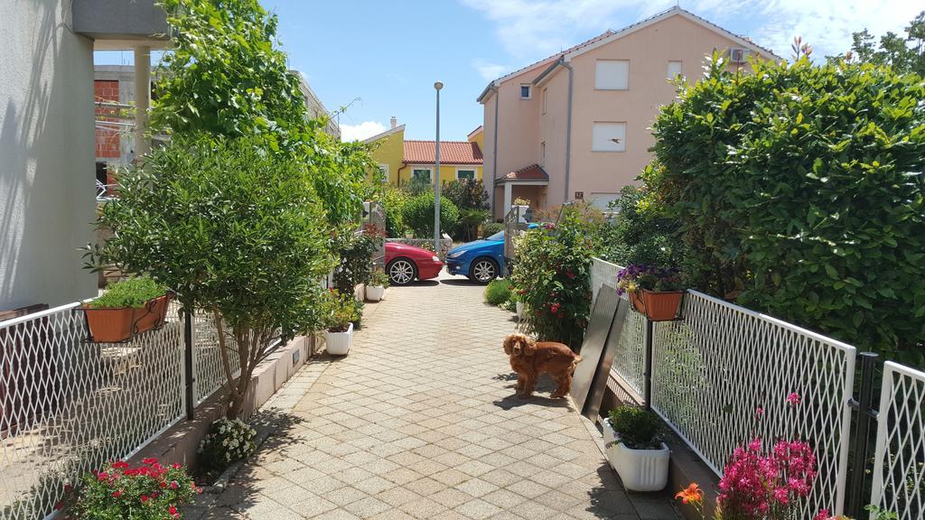 Apartments Sanda Tribunj Tribalj エクステリア 写真