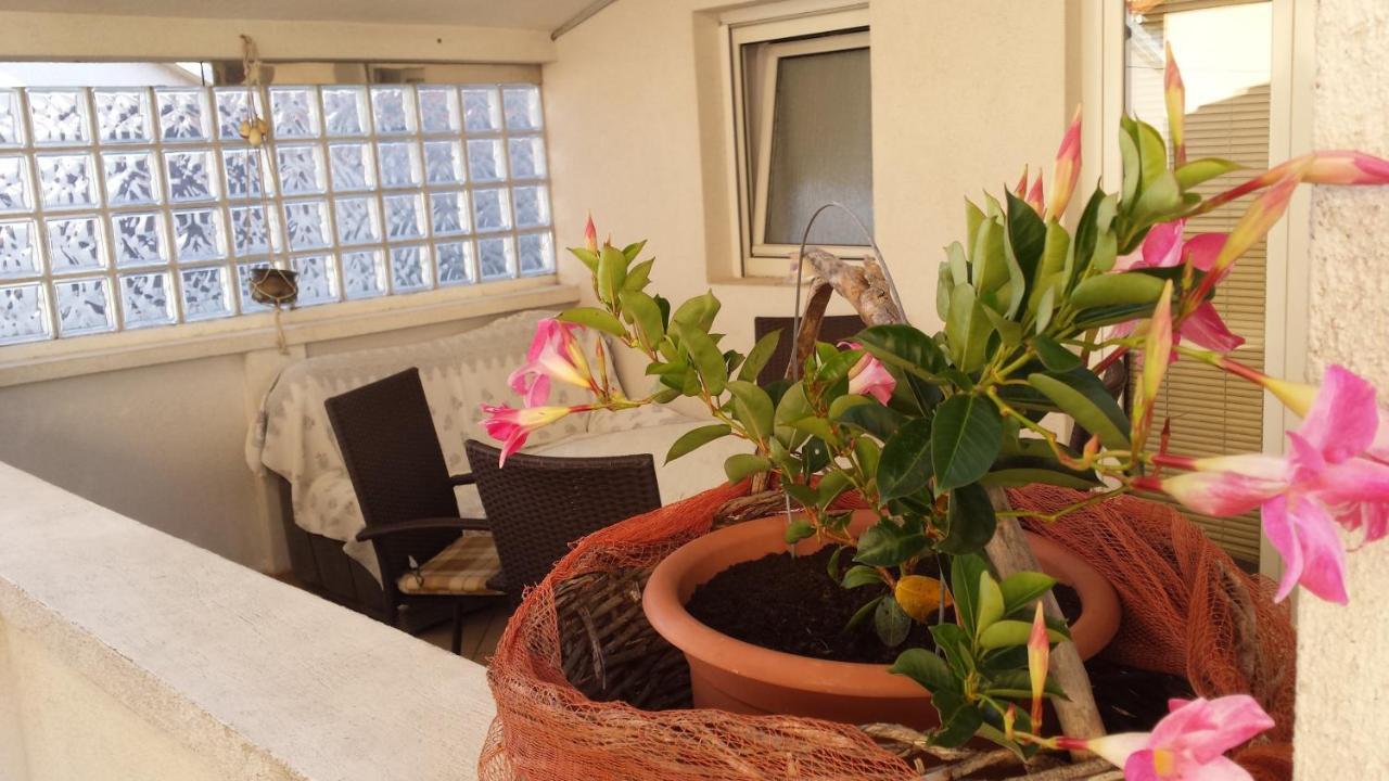 Apartments Sanda Tribunj Tribalj 部屋 写真